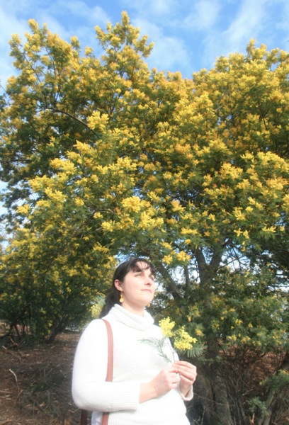 Look blog mode au milieu des massifs de mimosa, sur la colline du tanneron.