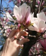 Bague fantaisie à fleur rose pastel bijoux fantaisie de Divine et Féminine au milieu des magnolias