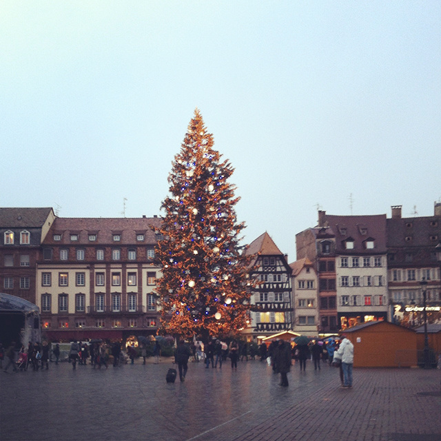 Sapin de Noël géant place Kleber à Strasbourg