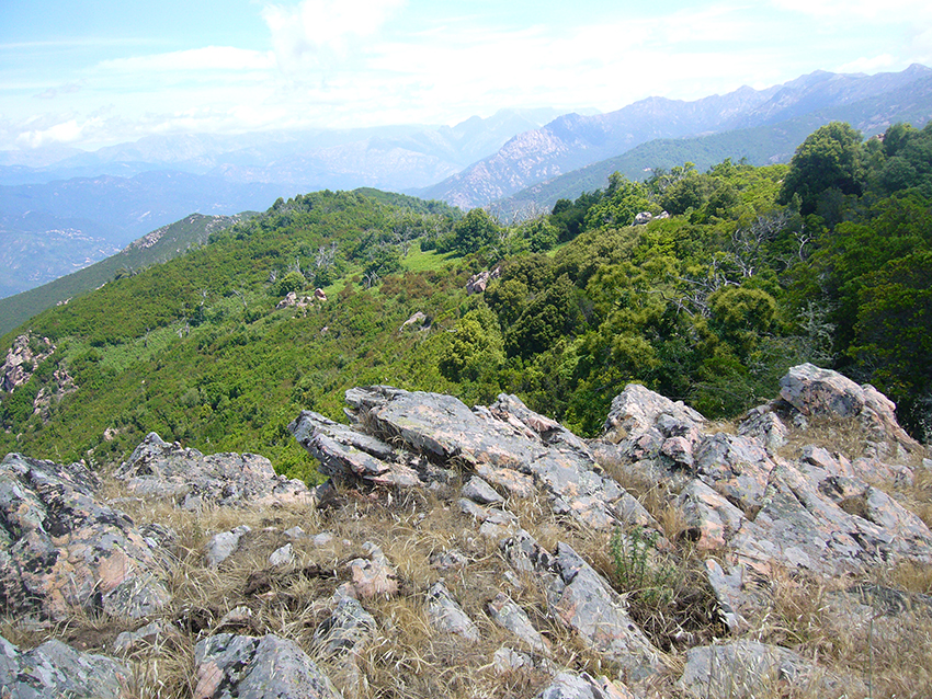Randonnée nature en Corse sur le Monte Aragnascu.