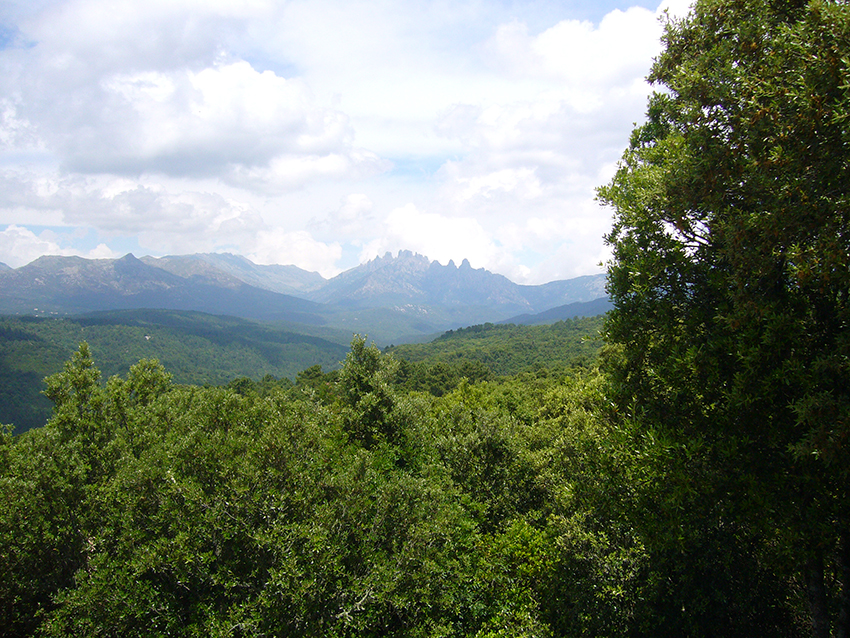 Vue sur les aiguilles de Bavella, depuis le site de Cucuruzzu, en Corse.