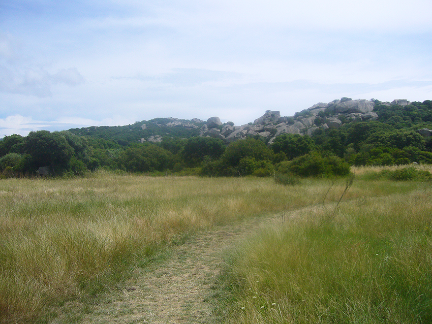 Randonnée nature sur le plateau de Cauria, en Corse.