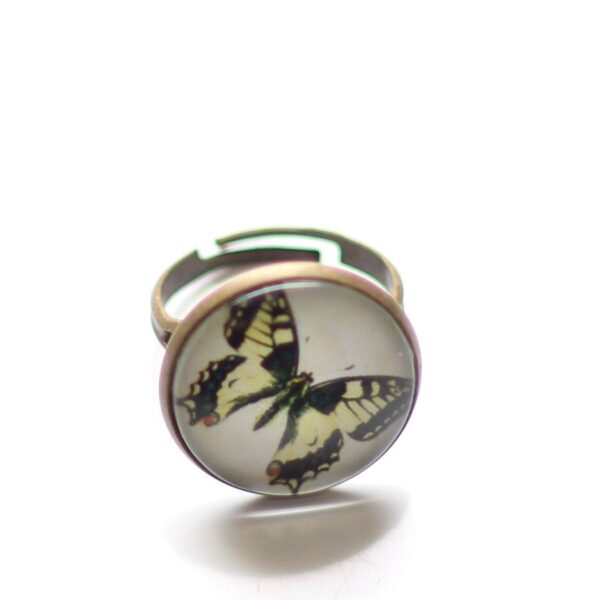Bague papillon sous cabochon en verre et anneau réglable en laiton bronze par Divine et Féminine.