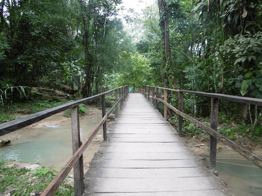 Pont au milieu de la jungle du Chiapas au Mexique.
