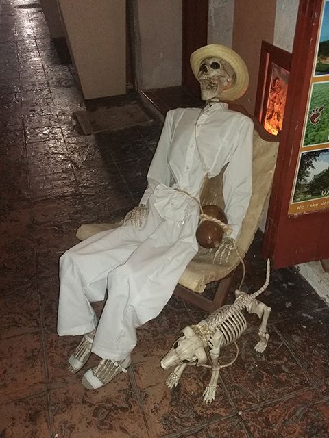 Décoration squelettes pour le dia de los muertos à Campeche au Mexique.