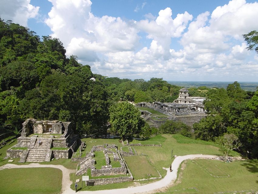 Panorama sur les temples et le palais de Palenque au Mexique.