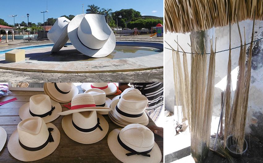 Fabrication de chapeaux de type panama à Bécal au Mexique.