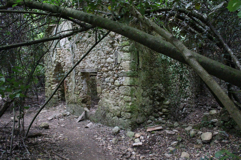 Ruines des Gorges de la Siagne.