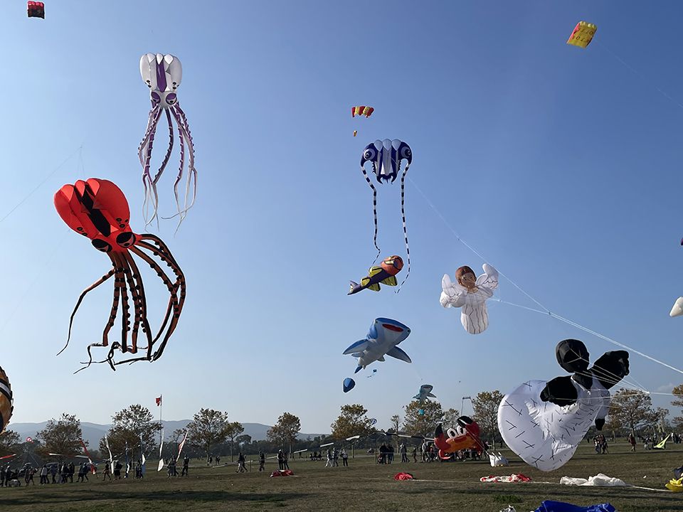 Ange et pieuvres cerf-volant du Festival de l'Air à Fréjus en 2021.
