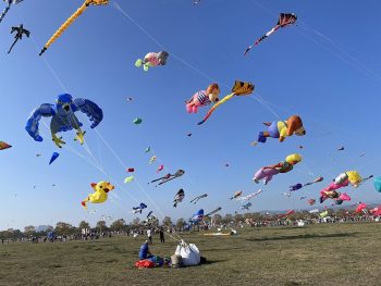 Cerf-volants colorés du Festival de l'Air à Fréjus en 2021.