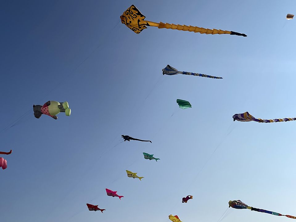 Cerf-volants raies et requins du Festival de l'Air à Fréjus en 2021.