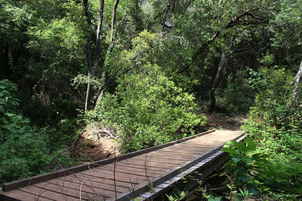 Passerelle randonnée Antibes dans les bois de La Valmasque.
