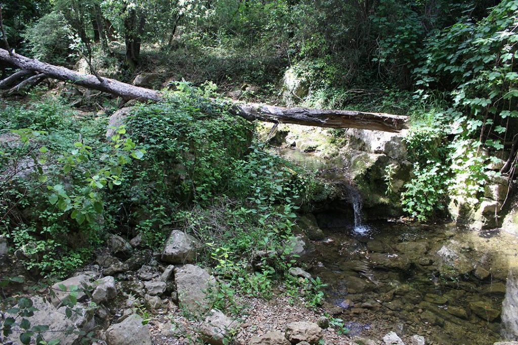 Ruisseau de La Valmasque à Antibes.