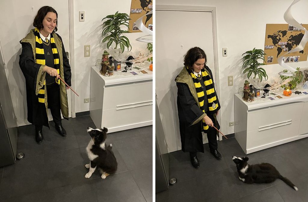 Sortilèges de dressage canin par sorcière de Poufsouffle, déguisement Harry Potter.
