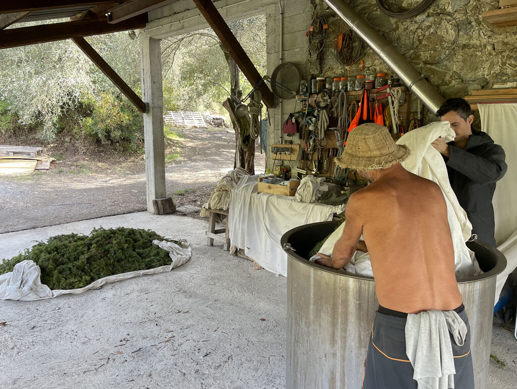 Genévrier dans alambic chez les Senteurs du Claut.